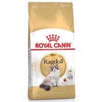 Royal canin Aves Adultos Ragdoll 10kg GATO Comida
