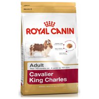 royal-canin-adulto-cavalier-king-charles-1.5kg-cane-cibo