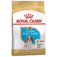 Royal canin Chiot Cavalier King Charles 1.5kg Chien Aliments
