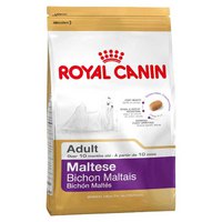 Royal canin Aves Adultos Maltese Corn 500 G Cão Comida