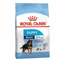 Royal canin 子犬 Maxi 1kg 犬 食べ物