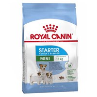 Royal canin Aves Adultos Mini Starter Mother 1kg Cão Comida