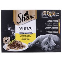 sheba-delicacy-jelly-chicken-85g-wet-cat-food-12-units