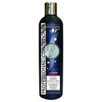 Certech Botella 16878 Conditioner Professional
