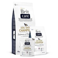 Brit Care Show Champion Lachs 3kg Hund Essen