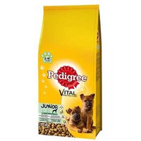 pedigree-vital-junior-big-breeds-chicken-15kg-dog-food