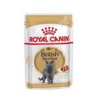 royal-canin-british-shorthair-dorosły-12x85g-mokro-kot-Żywność