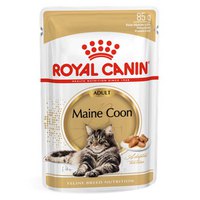 Royal canin FBN Maine Coon 85g Wet Cat Food 12 Units