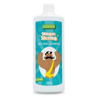 valquer-shampooings-cuidados-jengibre-ginger-strong-1000ml