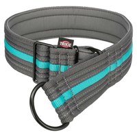 trixie-wide-education-fusion-education-collar-extra