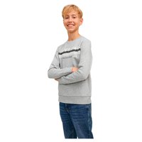 jack---jones-iron-sweatshirt