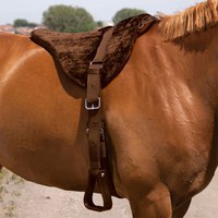 norton-equestrian-cru-confort-fs-general-purpose-saddle-pad