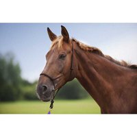 norton-equestrian-licol-dressage-soft
