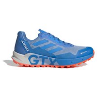 adidas-terrex-agravic-flow-2-goretex-trailrunningschoenen