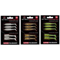 live-target-minnow-rig-small-soft-lure-body