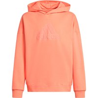 adidas-fi-logo-hoodie