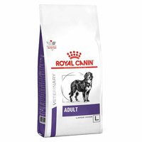 Royal canin Adulte Nourriture Pour Chien Largedry 13kg