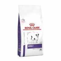Royal canin 성인 소형 Dogdry 개밥 4kg