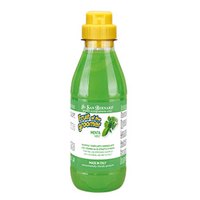 iv-san-bernard-fruits-mint-shampoo-500ml