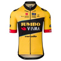 AGU Jumbo-Visma Replica 2023 Short Sleeve Jersey