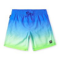 oneill-cali-gradient-14-swimming-shorts