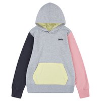levis---colorblocked-hoodie
