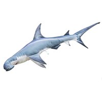 gaby-almohada-tiburon-martillo