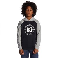dc-shoes-strpltrglnphb-hoodie