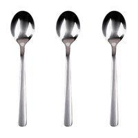 san-ignacio-earth-stainless-spoon