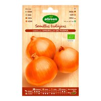 Agreen Onion Seeds