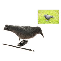 edm-le-corbeau-effraie-les-oiseaux-19x39-cm