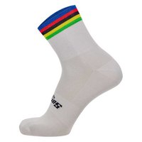 Santini UCI Official World Champion 2023 Socks