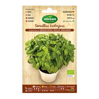 Agreen Basil Genovesa Eco Seeds