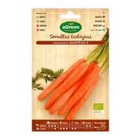 Agreen Carrot Nantesa 5 Eco Seeds