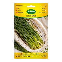 agreen-chive-anual-seeds