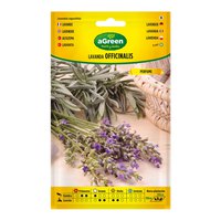 Agreen Lavender Officinalis Seeds
