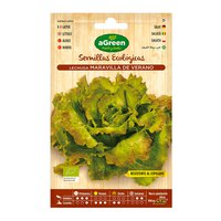 Agreen Lettuce Maravilla Eco Seeds