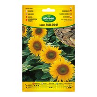 Agreen Sunflower For Pipes Seeds