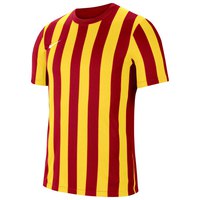 Nike Striped Κοντομάνικο μπλουζάκι