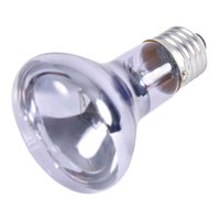 trixie-spot-neodimio-75w-lamp