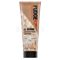 fudge-all-blonde-colour-lock-250ml-shampoo