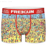 freegun-boxer-looking-for-wally-on-the-beach