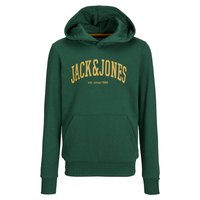 jack---jones-josh-hoodie