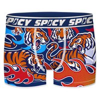 spicy-t678-1-boxer