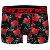 spicy-t679-3-boxer