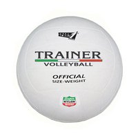 sport-one-trainer-bianco-volleybal-bal