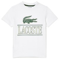 lacoste-t-shirt-a-manches-courtes-tj3804-00