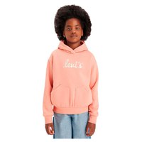 levis---poster-logo-teen-hoodie