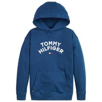 tommy-hilfiger-flag-hoodie