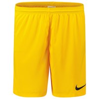 Nike Dri-FIT Park 3 University Shorts
